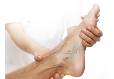 Foot & Ankle Examination