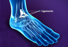 Ankle Arthroscopy